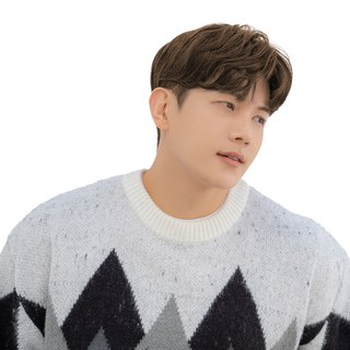 가발나라 남자 투블럭가발 아이롱가르마펌, 내츄럴브라운, 1개