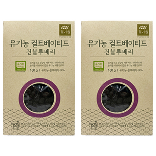 유가원 컬티베이티드 건블루베리, 160g, 2개