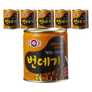 유동 번데기, 280g, 6개