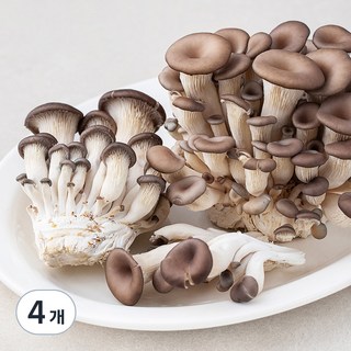 친환경인증 참타리버섯, 300g, 4팩