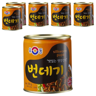 유동 번데기 상품 이미지