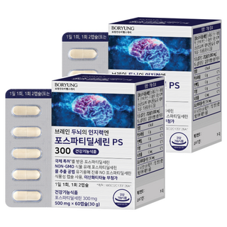 보령 브레인 두뇌의 인지력엔 포스파티딜세린 PS 300 30g, 60정, 2개 대표 이미지 - 뇌영양제 추천