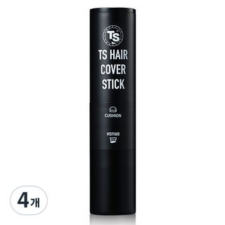 TS 헤어커버스틱 2.5g, 애쉬블랙, 4개