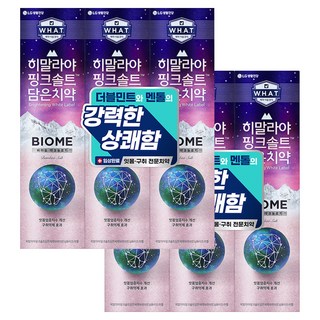 히말라야핑크솔트 담은 바이옴 구취억제 치약, 100g, 6개