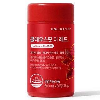1. 홀리데이즈 콜레..