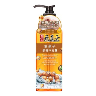 SOAPBERRY 古寶無患子 舒緩沐浴露, 溫和配方, 不流淚, 不刺激, 適合敏感肌膚, 嬰幼兒適用, 750g, 1瓶