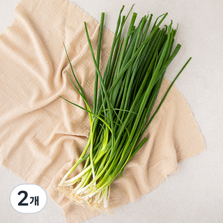 국내산 실파, 200g, 2개
