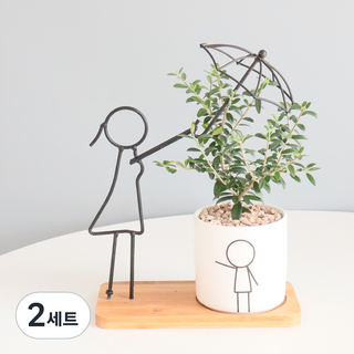 '너의우산' 올리브나무