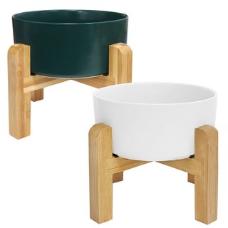 모나지오 반려동물 우드트레이 도자기 식기 소, 화이트, 그린, 1개