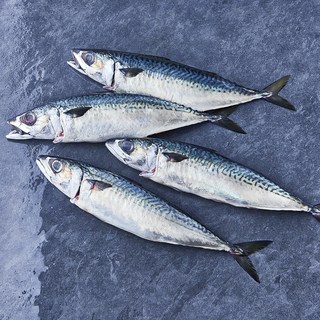 부산 간고등어 2손 해동 (냉장), 1개, 900g(대)