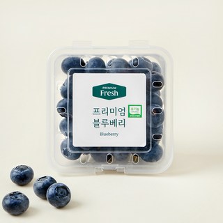 유기농 인증 프리미엄 블루베리 대과, 100g, 1개