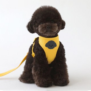 PASTEL PET Puppy Lovely Puppy 網狀背帶+牽引繩套裝, 黃色的