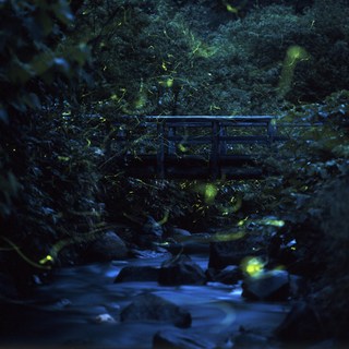 [Shimotakai-gun] [일본][나가노현]이시노유 온천 이시노유 롯지(Ishinoyu Lodge)