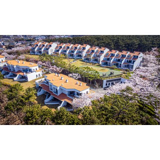 아일랜드 리솜 사용 모습