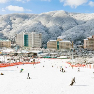 [홍천군] 소노캄 비발디파크