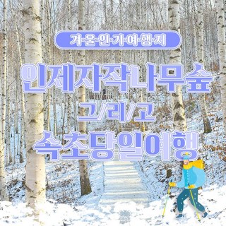 [강원도] 01/18 출발 유력 인제 자작나무 숲+속초중앙시장+속초해수욕장 당일여행