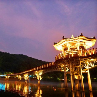 [경북] 안동 달빛투어 월영야행 (월영교/부용대/하회마을/찜닭골목) 당일여행/국내여행 / 서울경기出