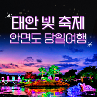 [충남] 태안 빛축제&안면도 자연휴양림&꽃지해변 당일 기차여행