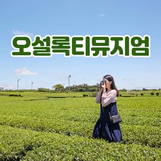 2. [제주] 오설록..