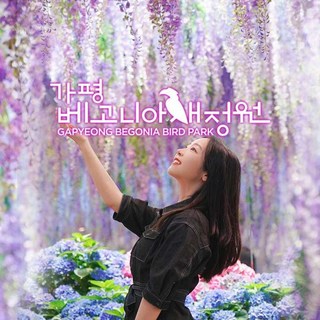 가평 베고니아 새정원 이미지