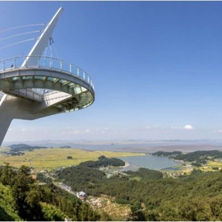 [인천] [당일]강화도+교동도+석모도(화개산 스카이워크+보문사+조양방직카페)