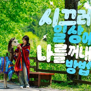 [홍천] 알파카월드 입장권