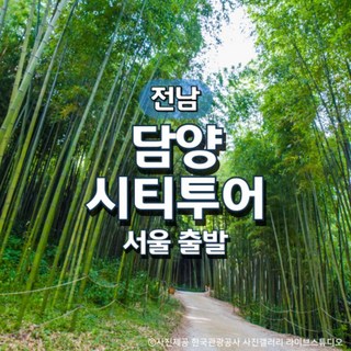 [그린데이투어] KTX담양시티투어 기차여행(서울출발)