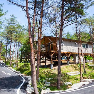 [강원고성] 주성리조트