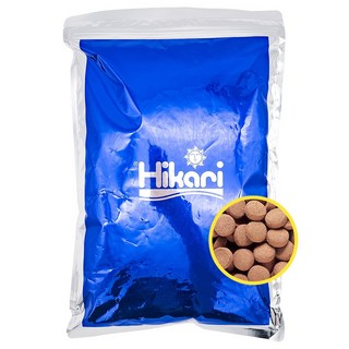히카리 싱킹카니발 빅캣 1kg 중형어 대형어 육식어 대입자 사료 먹이 밥, 1kg 대입자, 1개