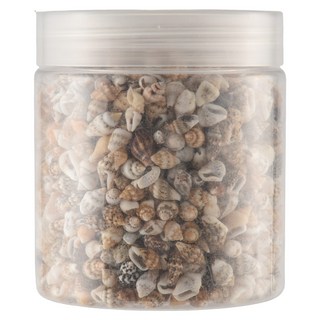 약 1300-1500 Tiny Sea Shell Ocean Beach Spiral Seashells Craft Charms 촛불 만들기 가정 장식 해변 테마 파티 웨딩 장식, 사진 색상