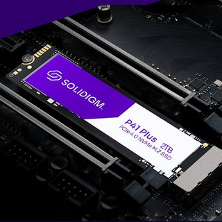 솔리다임 P41 PLUS M.2 NVMe Gen4 QLC SSD, SSDPFKNU020TZ, 2TB