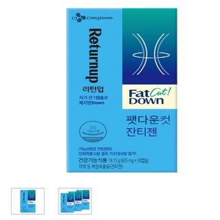 [CI107스포츠/헬스/캠핑(다이어트/헬스 식품)] CJ리턴업팻다운컷잔티젠605mg x 30캡슐x 3, 30정, 3개