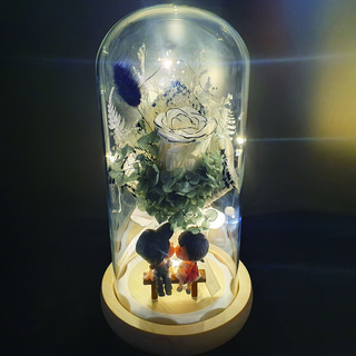 루하보마켓 프리저브드 빨강 핑크 블루 명품장미 Led 유리돔, 12.명품장미 유리돔(쇼핑백+피규어+편지지 포함)