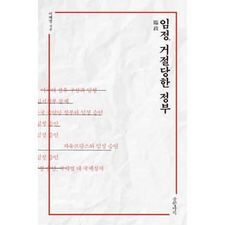 임정 거절당한 정부:, 글항아리, 이해영