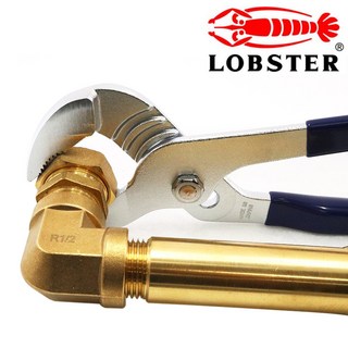 로보스터 250mm(10인치) 워터펌프 플라이어, 1개