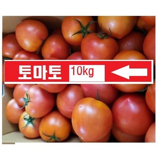 토마토 / 금일-출고/국내산, 1박스, 5kg