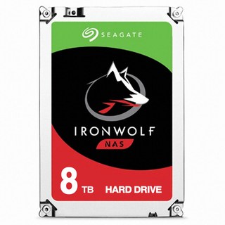 씨게이트 아이언울프 NAS HDD, ST8000VN004, 8TB