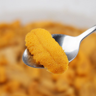 오마카세 국내산 특상품 성게알 우니, 5개, 100g