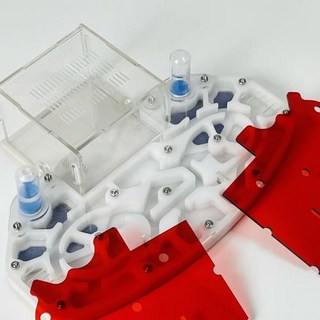 곤충개미농장키우기 대형 24x18cm 아크릴 둥지 경막 이동 확장 교육 키트 서식지 Formicarium, 2)White, 1개