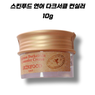 스킨푸드 연어 다크서클 컨실러 10g, 02살몬베이지, 1개