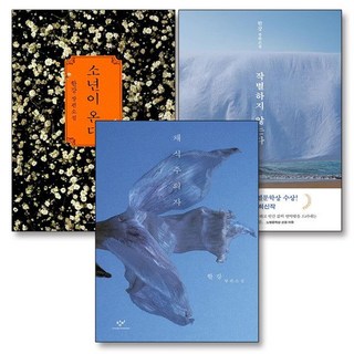채식주의자 소년이 온다 작별하지 않는다 책 세트 (전3권) 2024 노벨문학상 수상 작가 한강 장편 소설, 채식주의자 소년이 온다 작별하지 않는다 책 세트 (전3