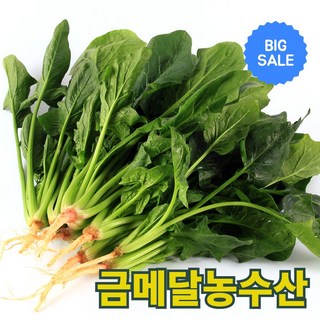 금메달농수산 산지직송 포항 영해초 시금치, 1개, 900g