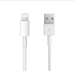 Apple 정품 Lightning-USB 충전 케이블