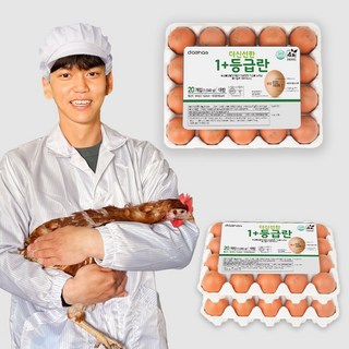 더신선한 1+등급 무항생제 계란