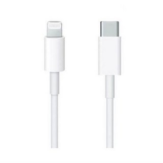 Apple 정품 Lightning-C타입 충전 케이블
