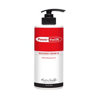 플렉스파워 리커버리크림 500ml, 1개입, 1개