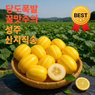하늘밥상 당도폭발 꿀맛주의 성주 참외, 5kg (가정용 중소과 15~25과), 1박스
