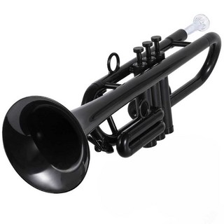 경량트롬본 서브 악기 플라스틱 트롬본 트럼펫 케이스, 1개, 상세페이지 참고, 2. Bb조 블루 (신형)