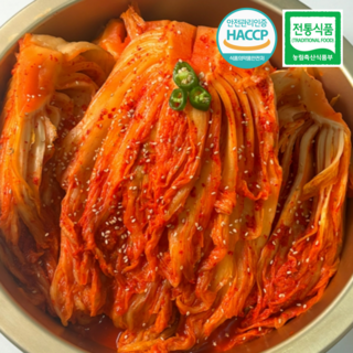 맛꾼 [HACCP 인증] 30년 전통 국내산 전라도 묵은지 묵은김치, 10kg, 1개