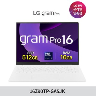 LG그램 프로 16인치